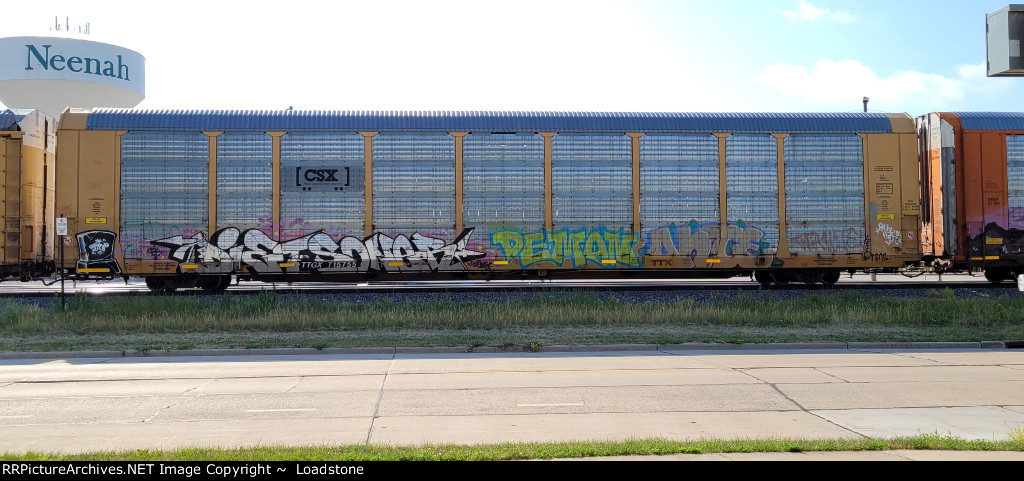 TTGX 715755