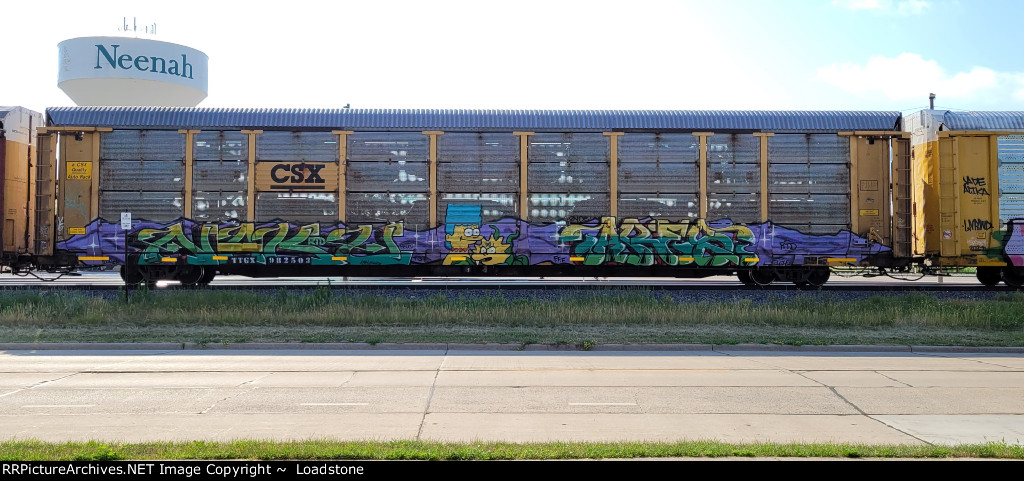 TTGX 982503