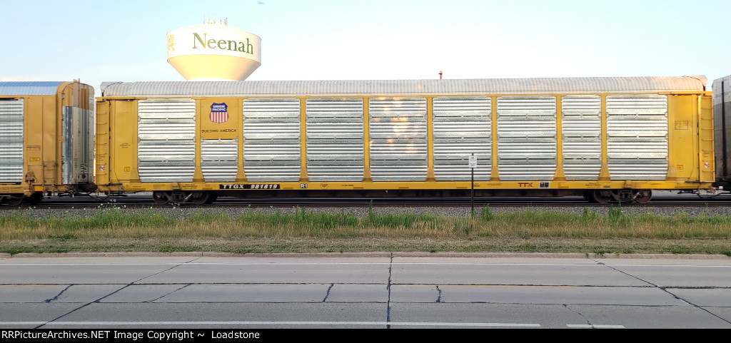 TTGX 981819