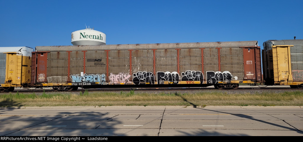 TTGX 253499