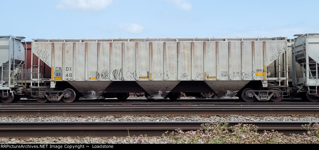 CRDX 8248