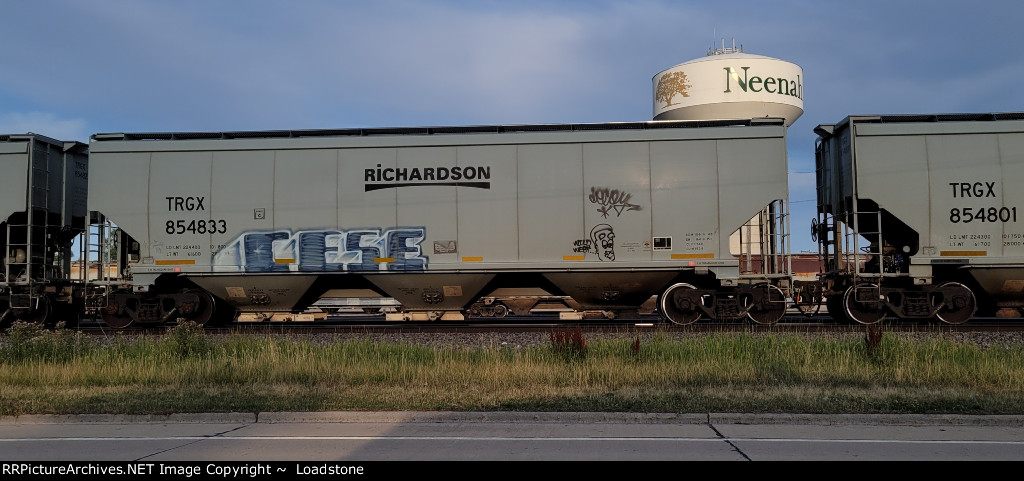 TRGX 854833