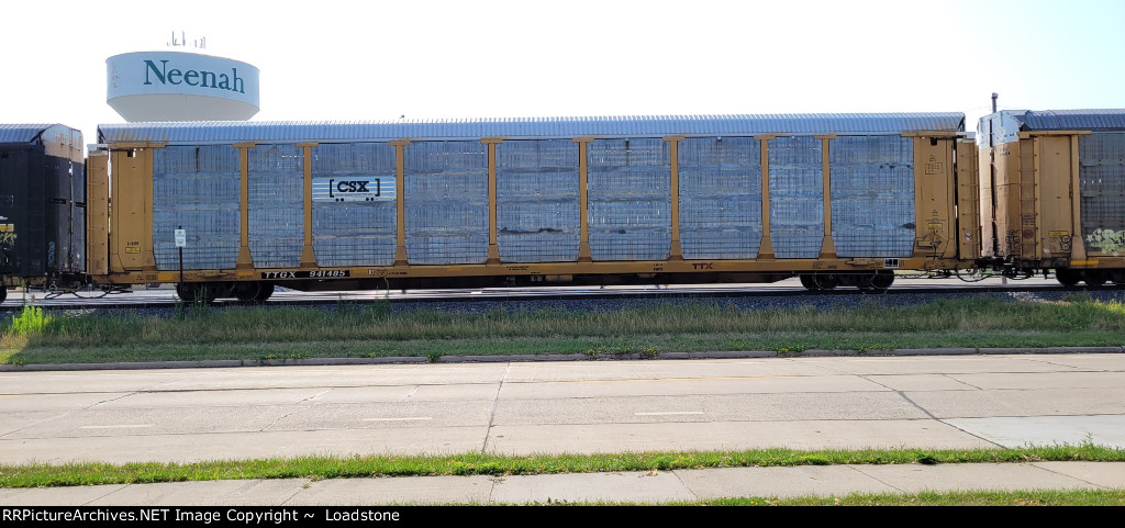 TTGX 941485