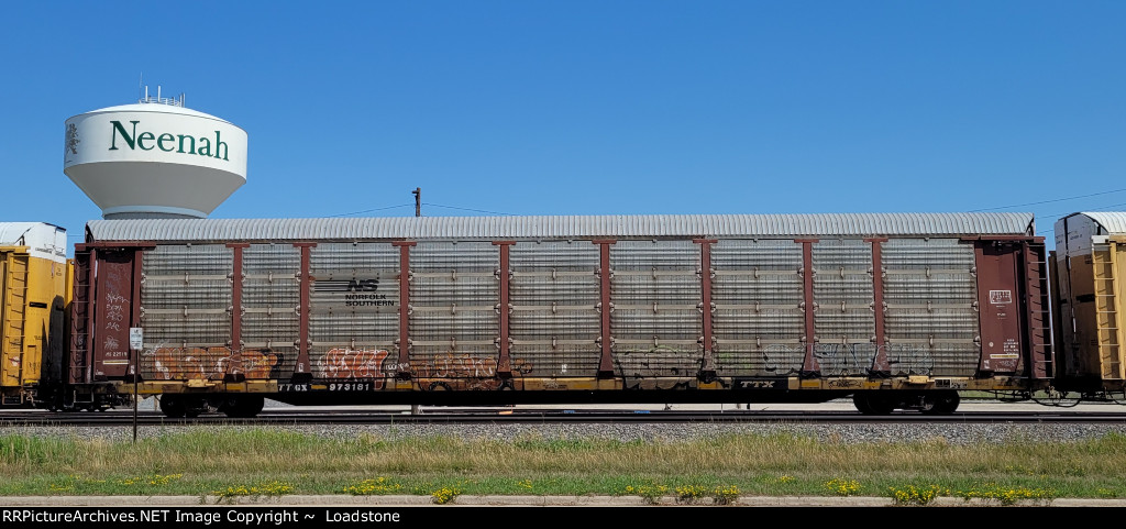 TTGX 973181