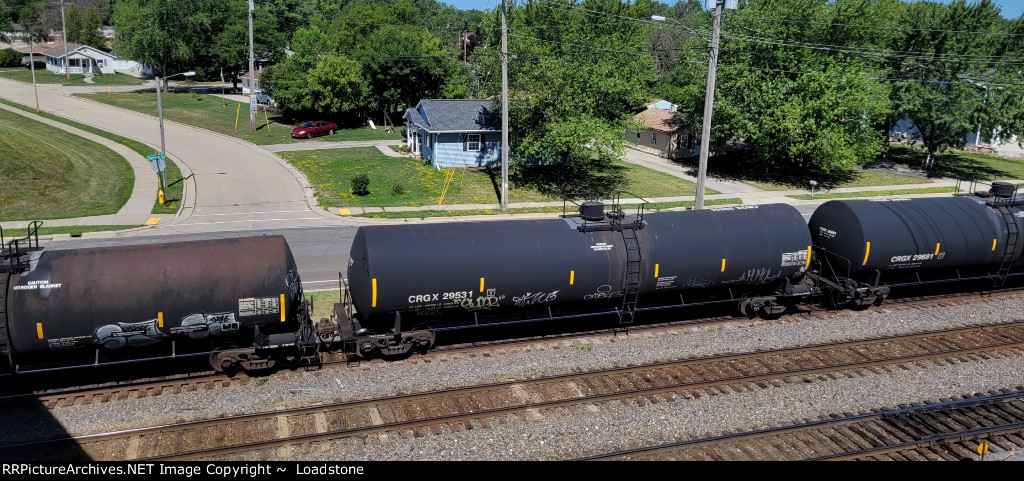 CRGX 29531