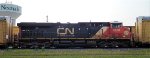 CN 3818