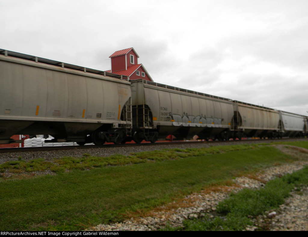 ECNX 160873 is new to RRPA!