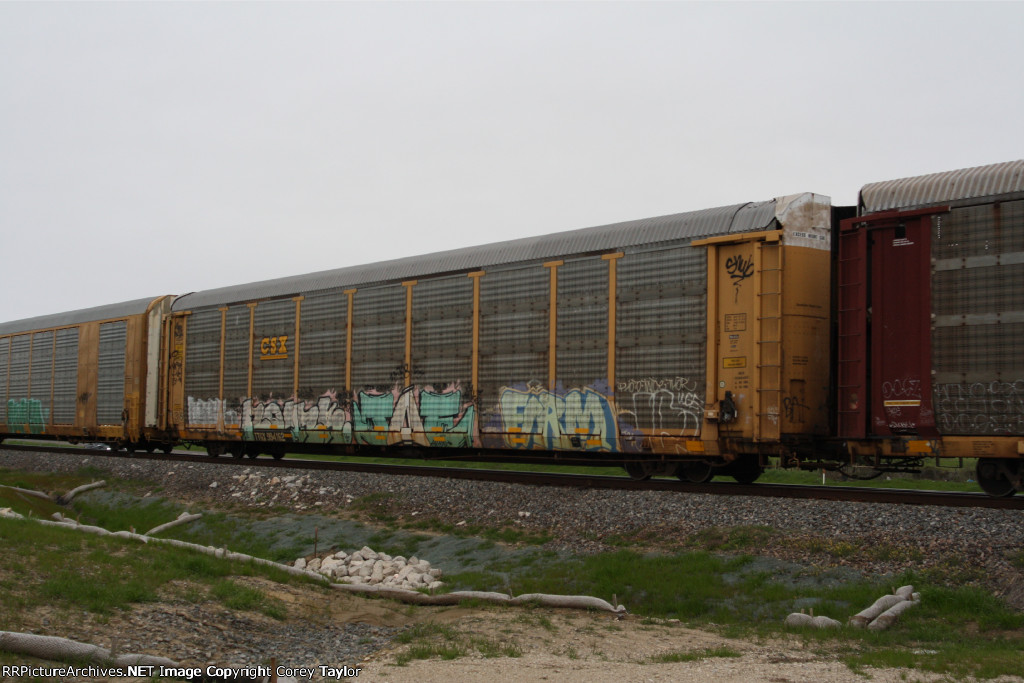 TTGX 994162