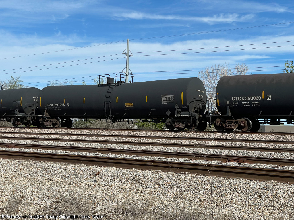 CTCX 207086