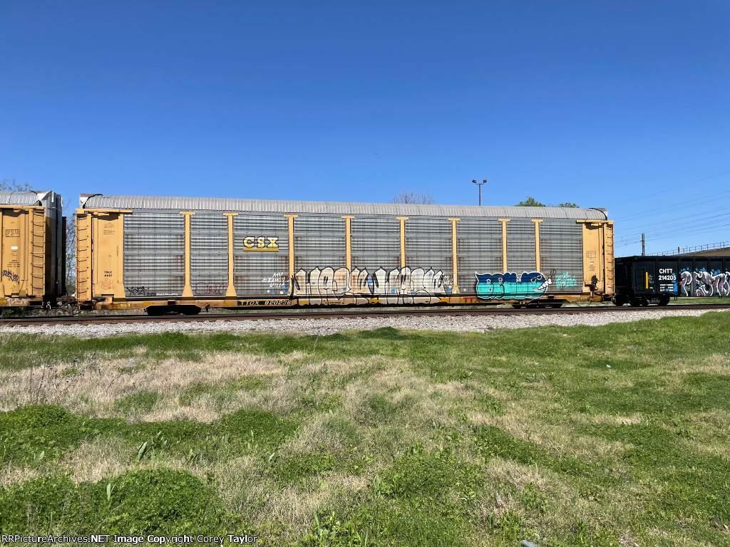 TTGX 820236