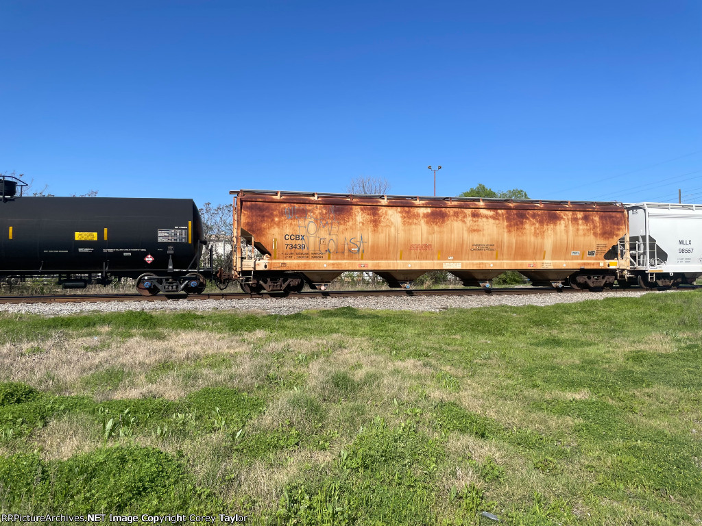 CCBX 73439
