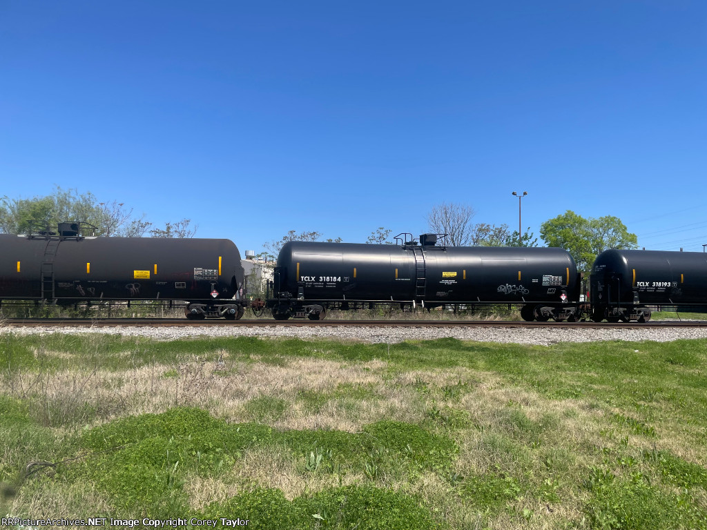 TCLX 318184
