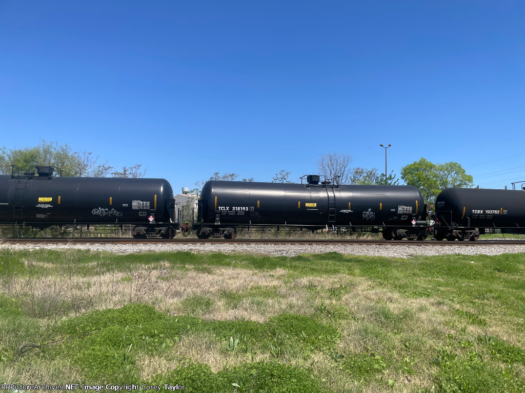 TCLX 318193