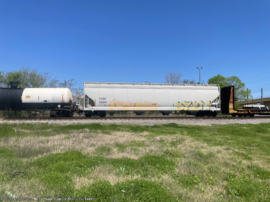 CCBX 58242