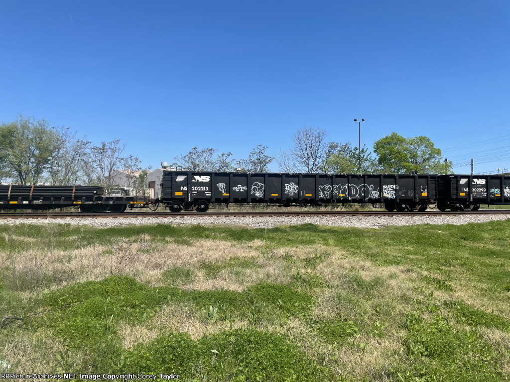 NS 202213