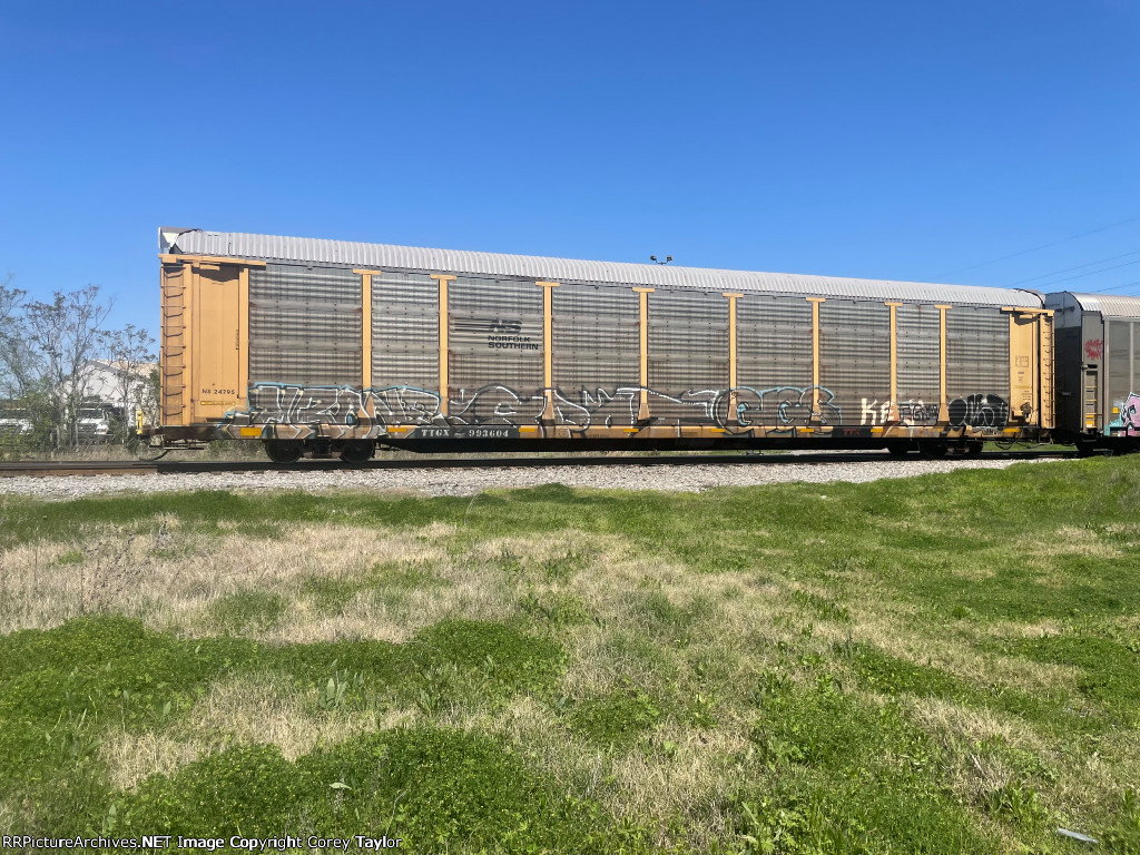 TTGX 993604