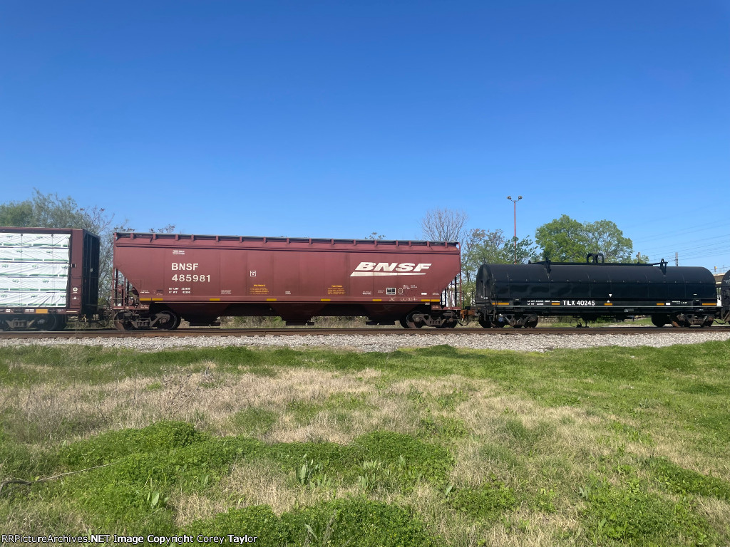 BNSF 485981