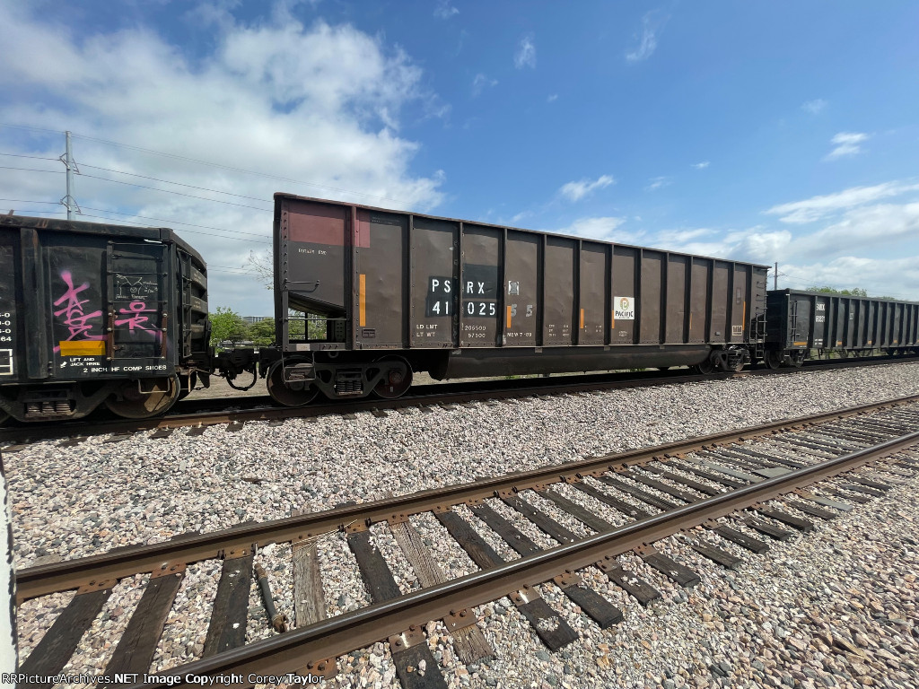 PSRX 41025