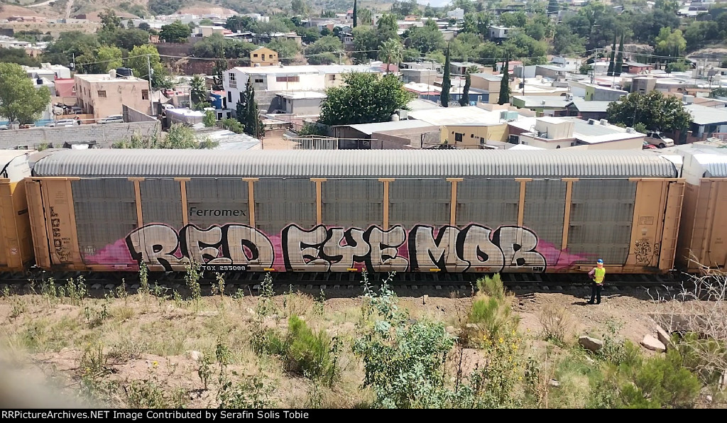 TTGX 255066 NKCR/FXE