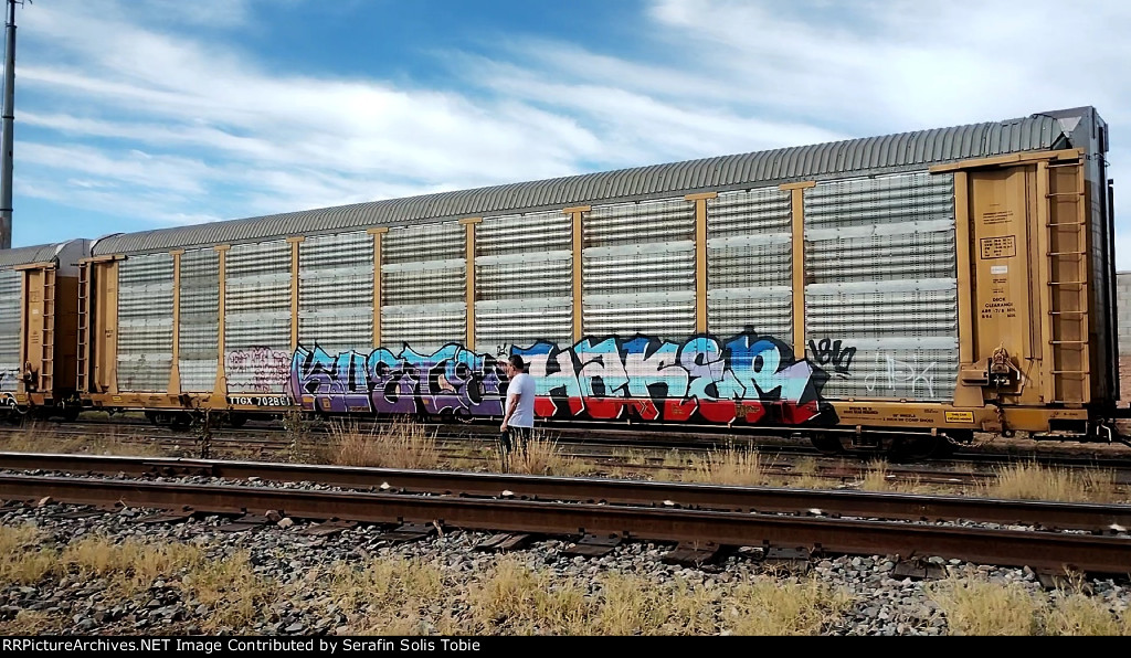 TTGX 702861 Rack NKCR