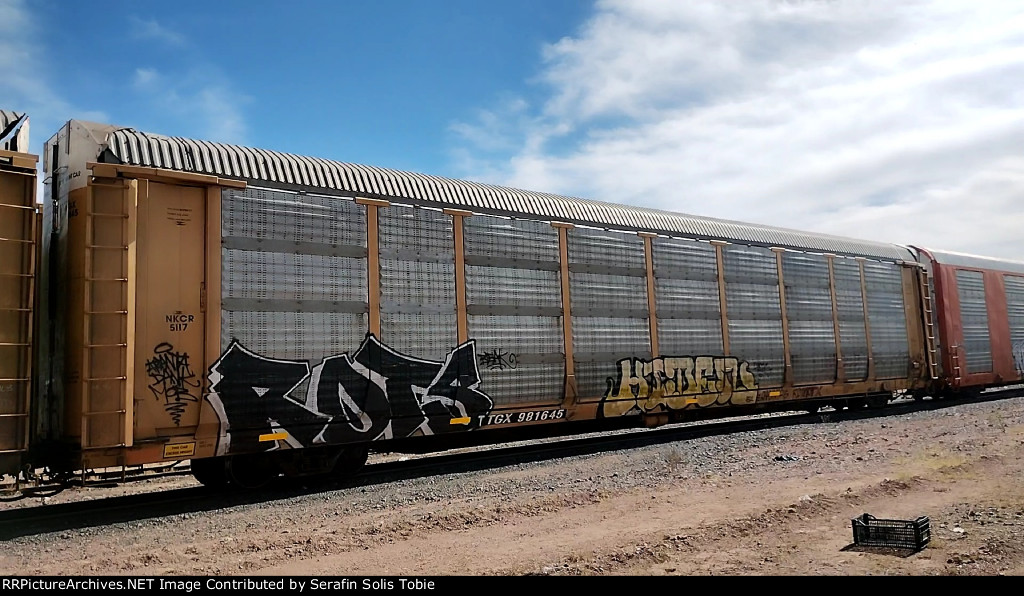 NKCR 5117 TTGX 981645