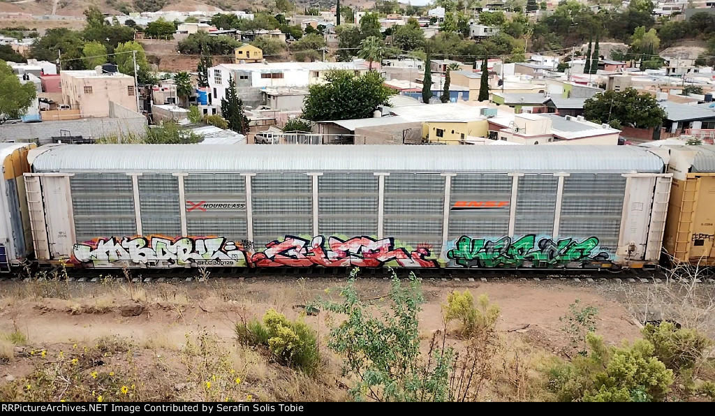 SFLC 20065 SFLC 300129