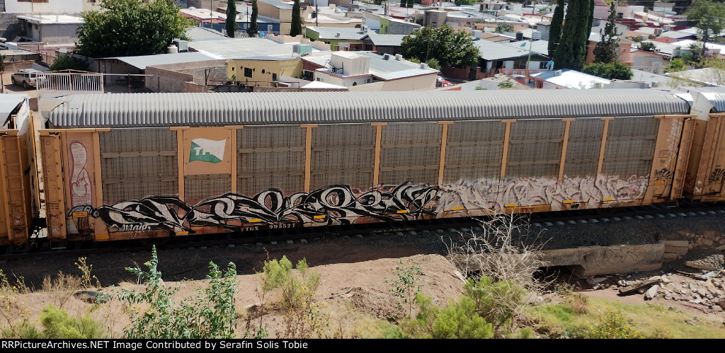 TTGX 995527 Rack TFM