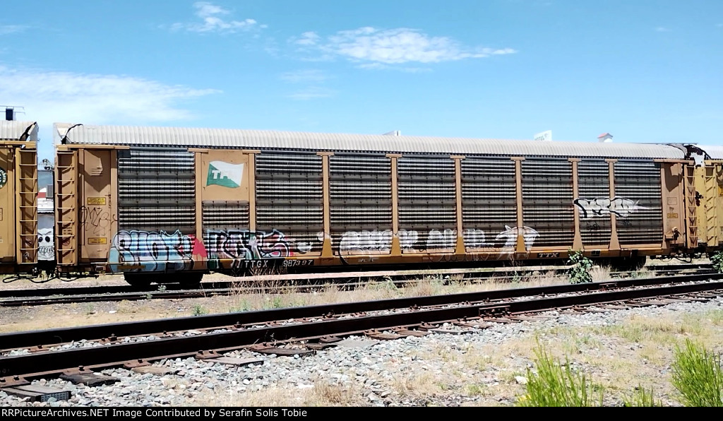 TTGX 987397 Rack TFM Con Grafiti 