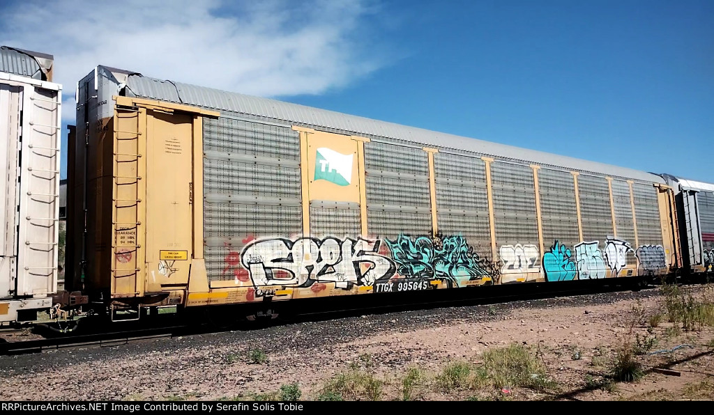 TTGX 995645 Rack TFM