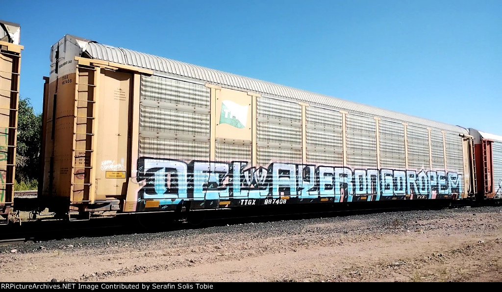 TTGX 987408 Rack TFM