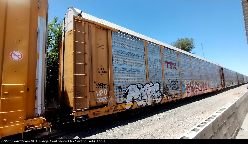 TTTX 331483 TTGX 710795