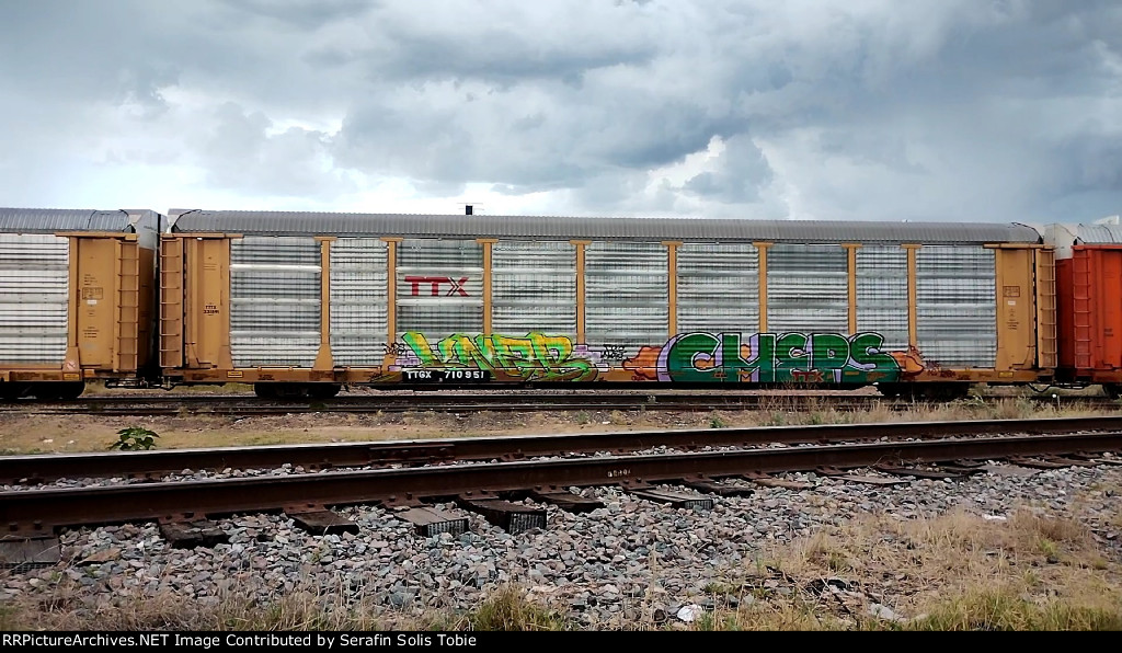 TTTX 331595 TTGX 710951