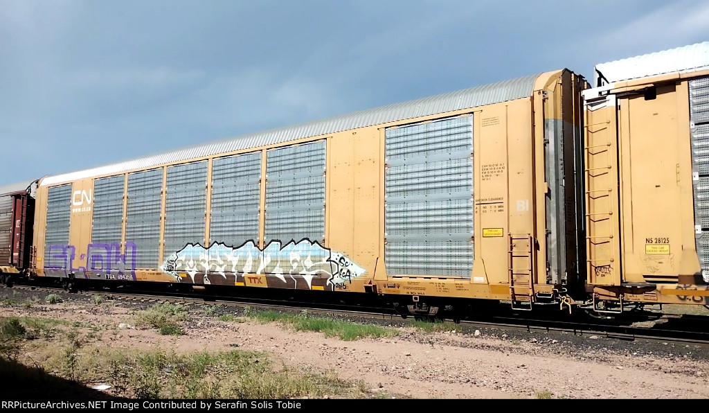 GTW 694356 TTGX 694356