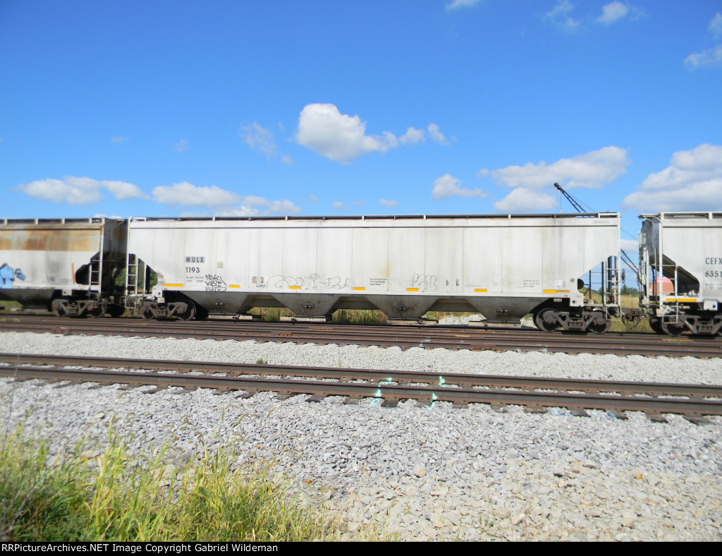 MULX 1193 is new to RRPA!