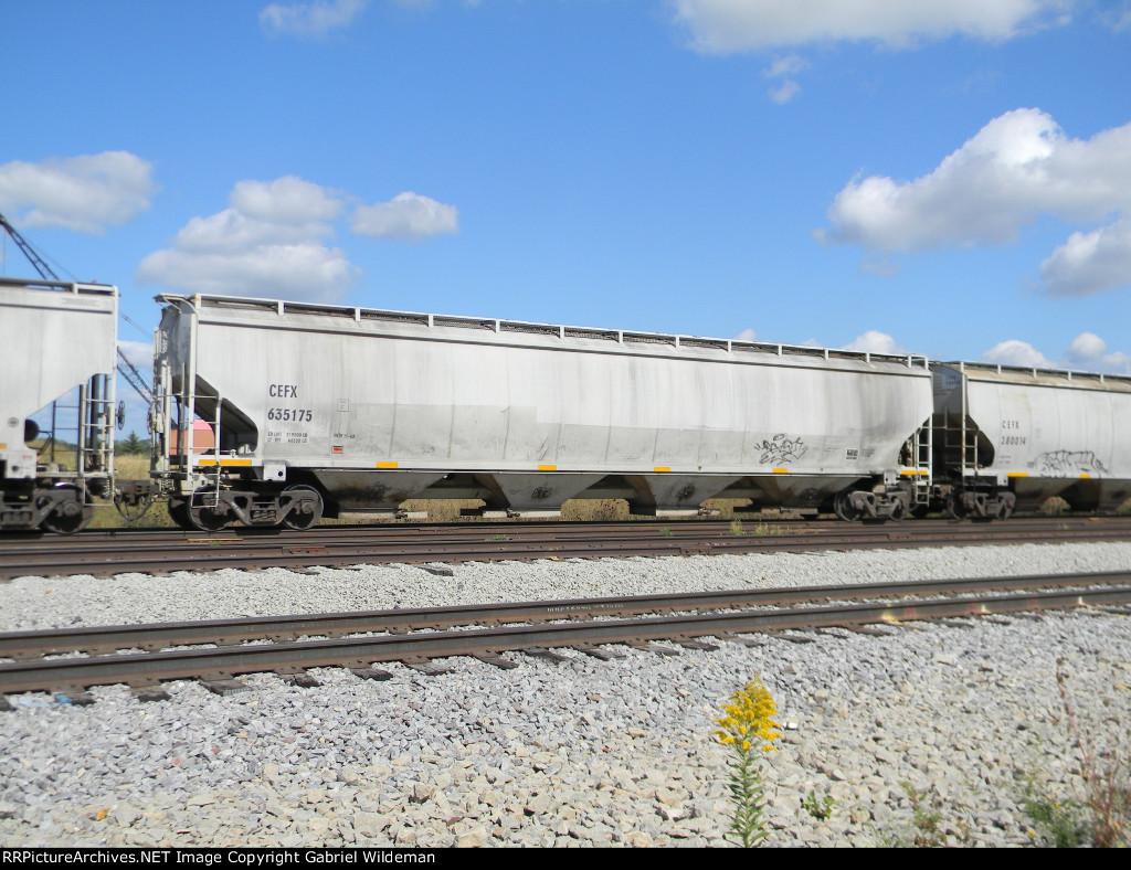 CEFX 635175