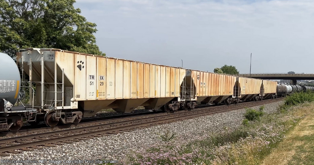 TRIX 5129 is new to rrpa.