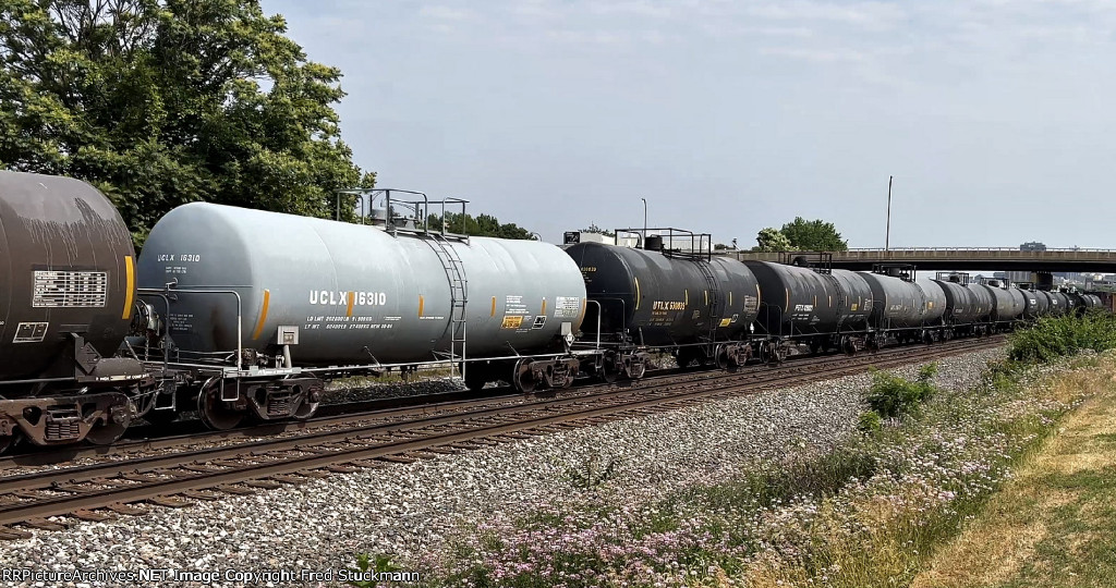 UCLX 16310 is new to rrpa.