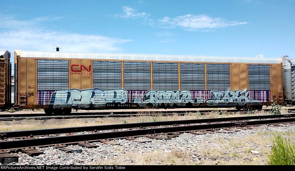 WC 696773 TTGX 696773