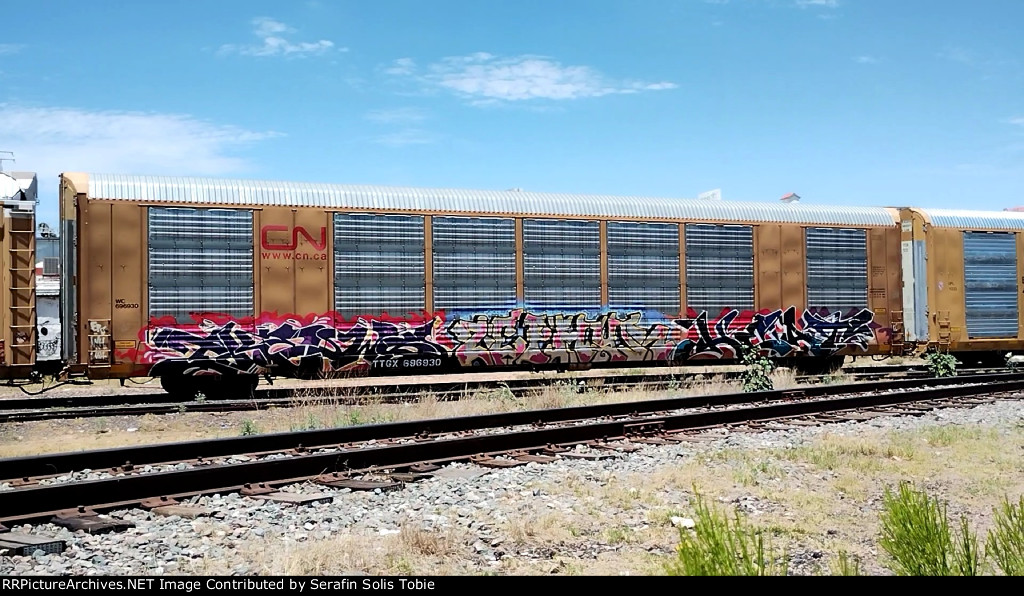 WC 696930 TTGX 696930 Con Grafiti 