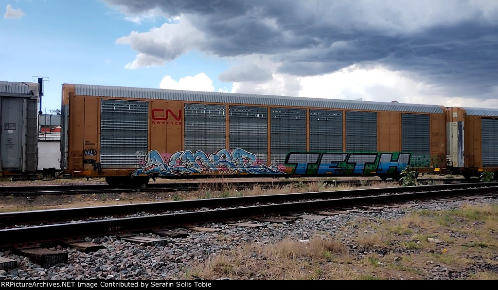 WC 696859 TTGX 696859