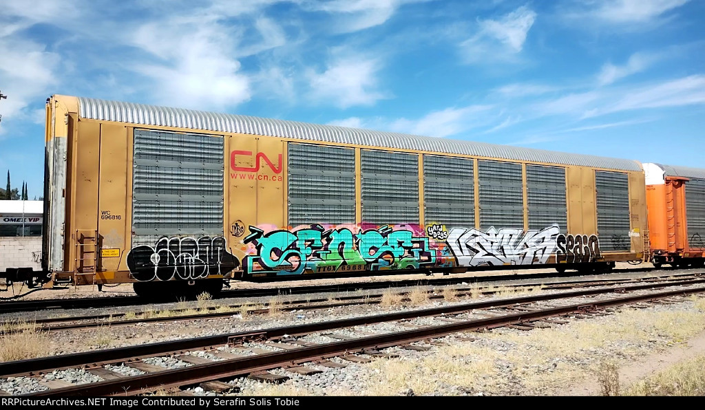 WC 696816 TTGX 696816