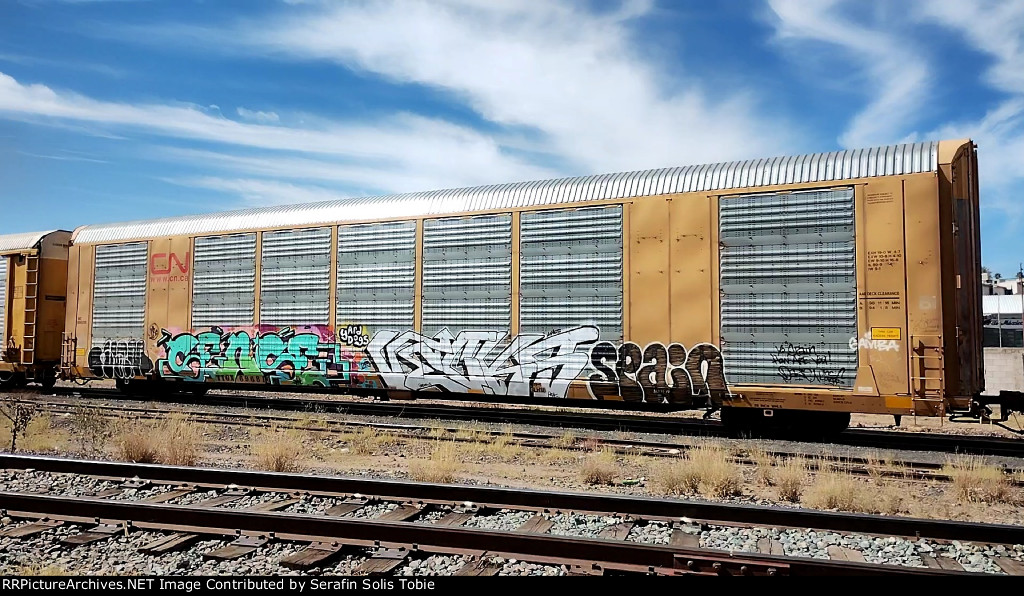 WC 696816 TTGX 696816