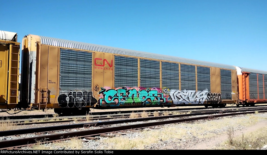 WC 696816 TTGX 696816