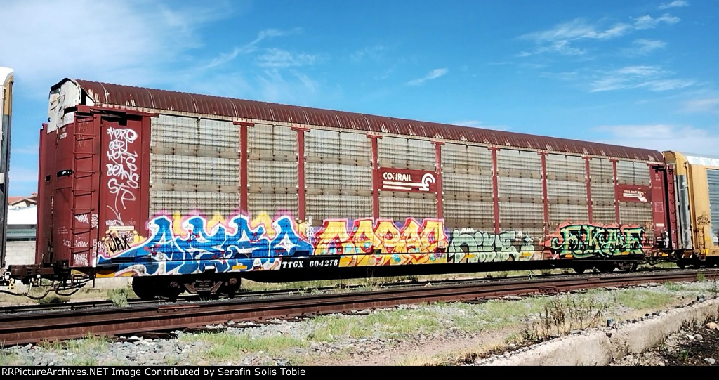 TTGX 604278 Rack CR