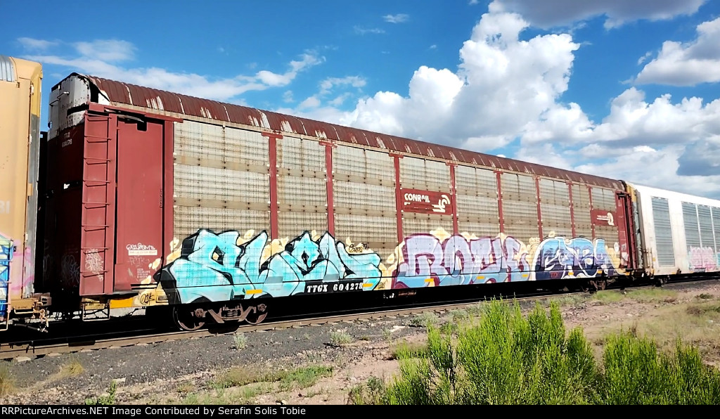TTGX 604278 Rack CR
