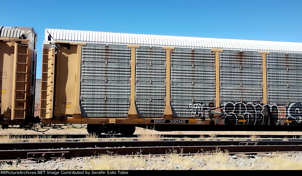 ATSF 2239 BNSF 300145