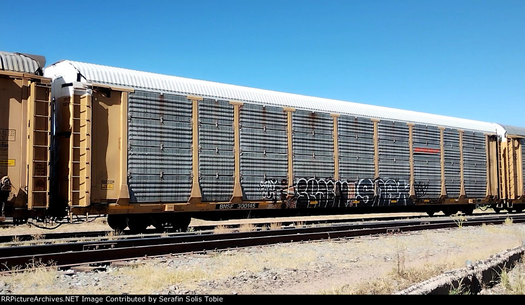 ATSF 2239 BNSF 300145