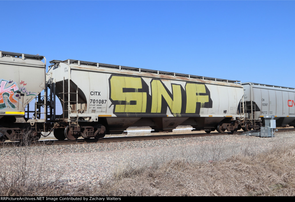 CITX 701087