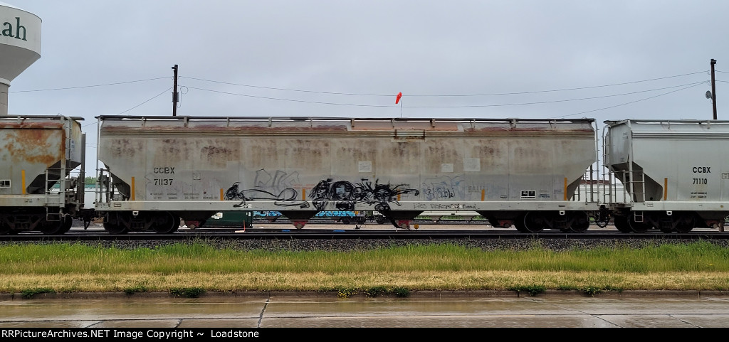 CCBX 71137