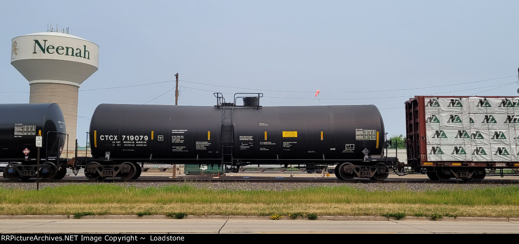 CTCX 719079